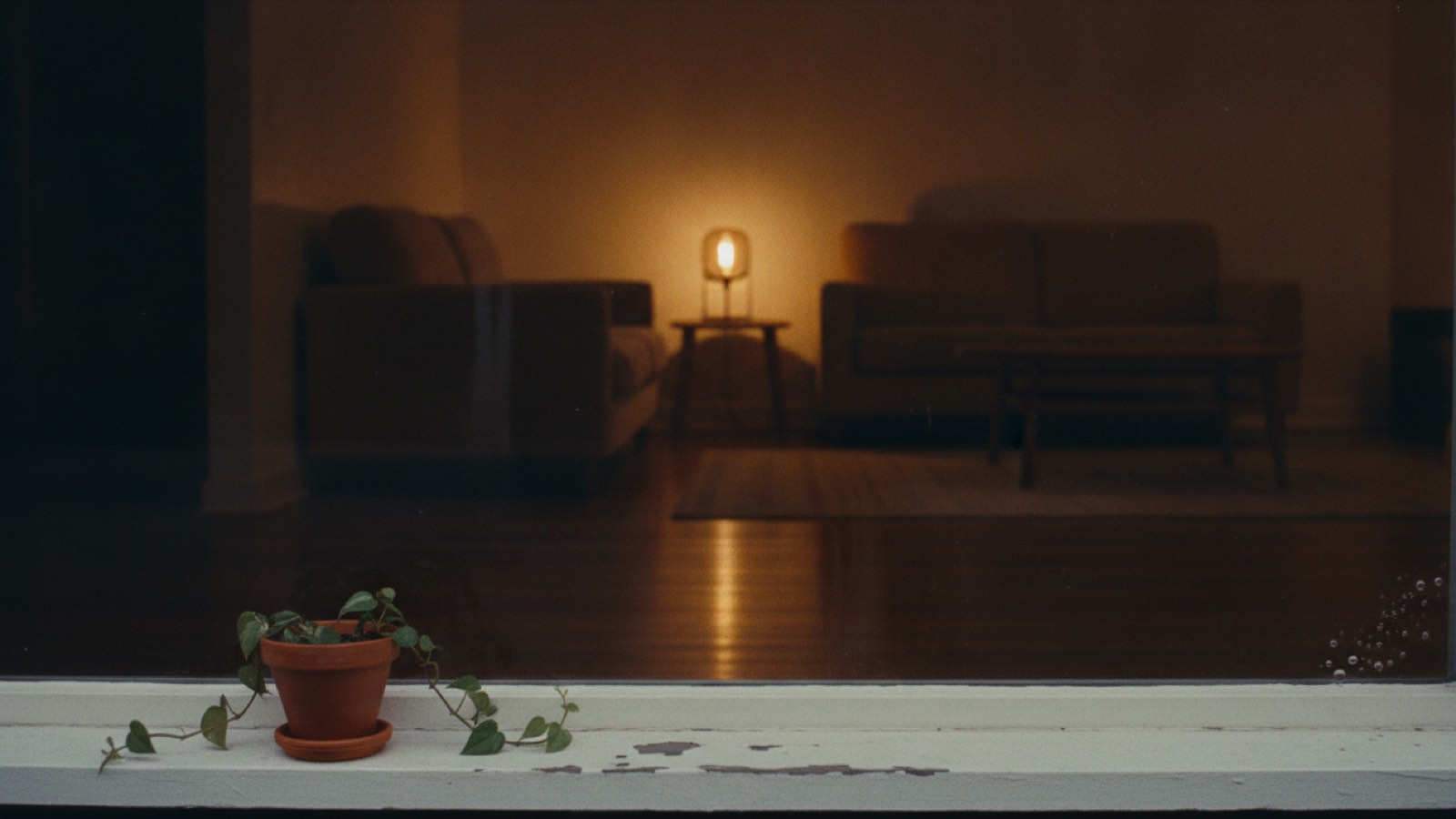 A dark night window seen from the sill, a small potted plant on the paint, and beyond the glass a warm lamp lit living room with a couch and a wide empty patch of bare floor